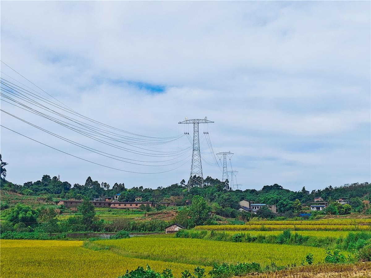 918������(�й���)�ٷ���վ