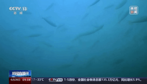 918������(�й���)�ٷ���վ